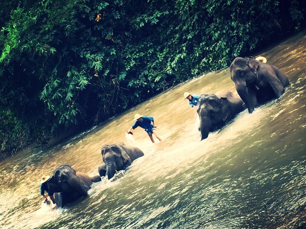 The Wes Village, Incl Free Breakfast & 100 Thb Food Gift Чианг Дао Экстерьер фото